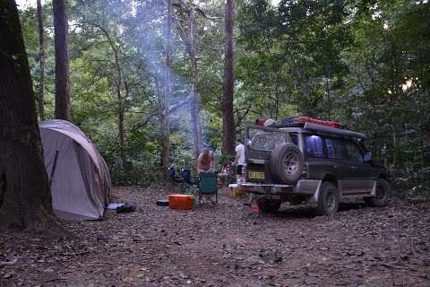 Photo: Rainforest Camping Area